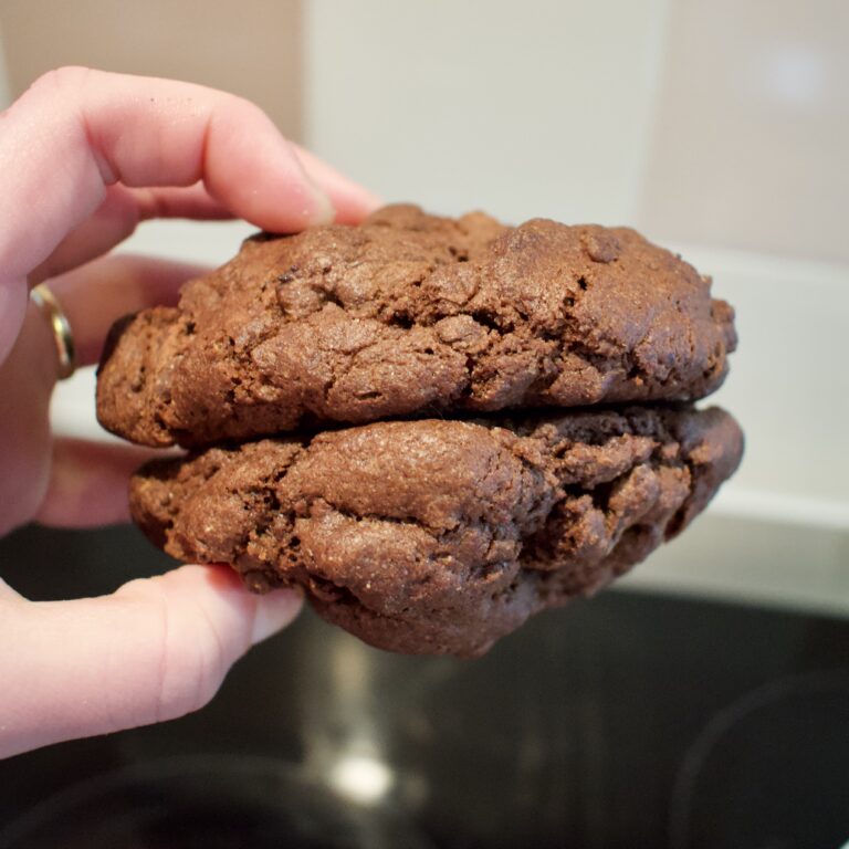 Vegan double chocolate cookies